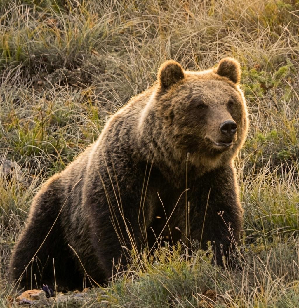 Un Secolo di Natura Incontaminata